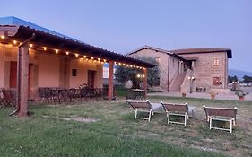 Alba Su Assisi